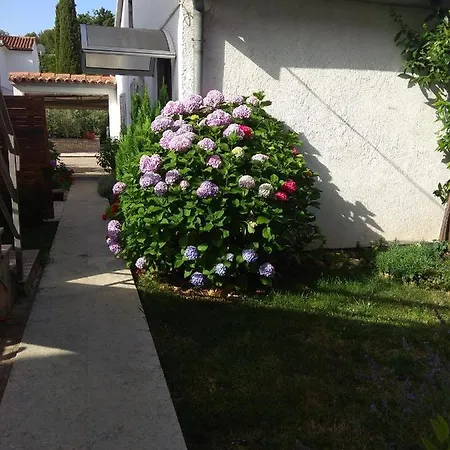 Nebo Apartman Porec
