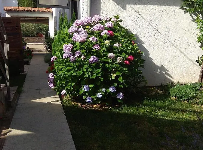 Nebo Apartmán Poreč